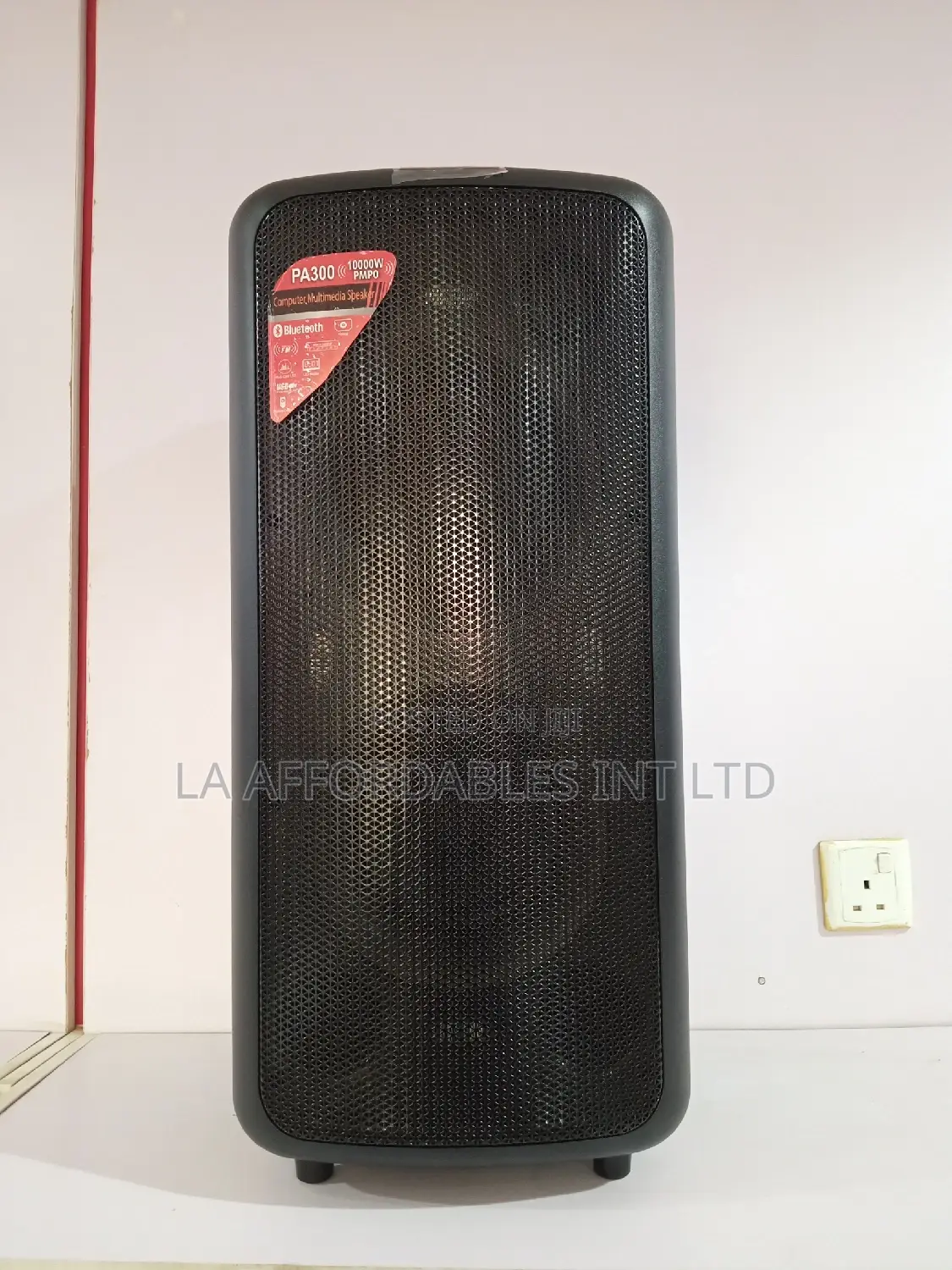 F D Multimedia Speaker- Pa300