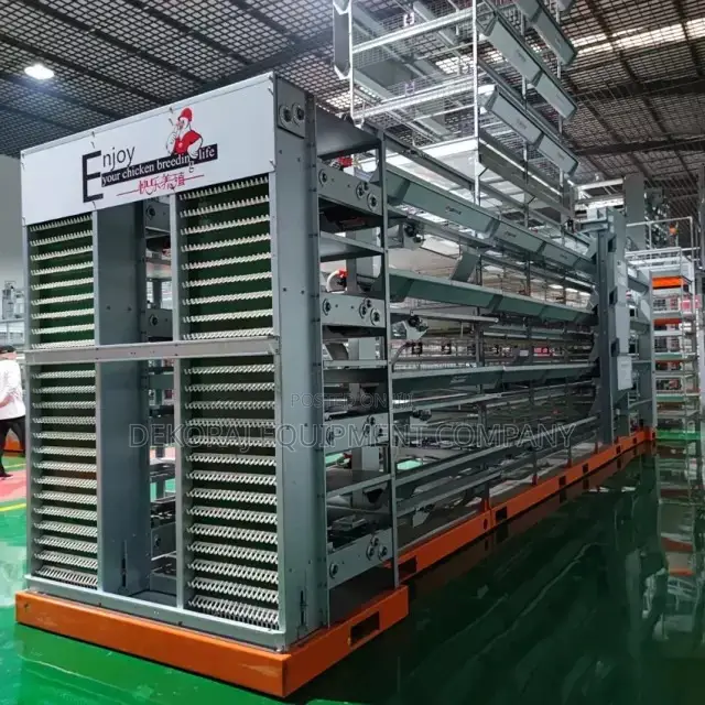 160 Layers Automated Poultry System With Egg Picking System