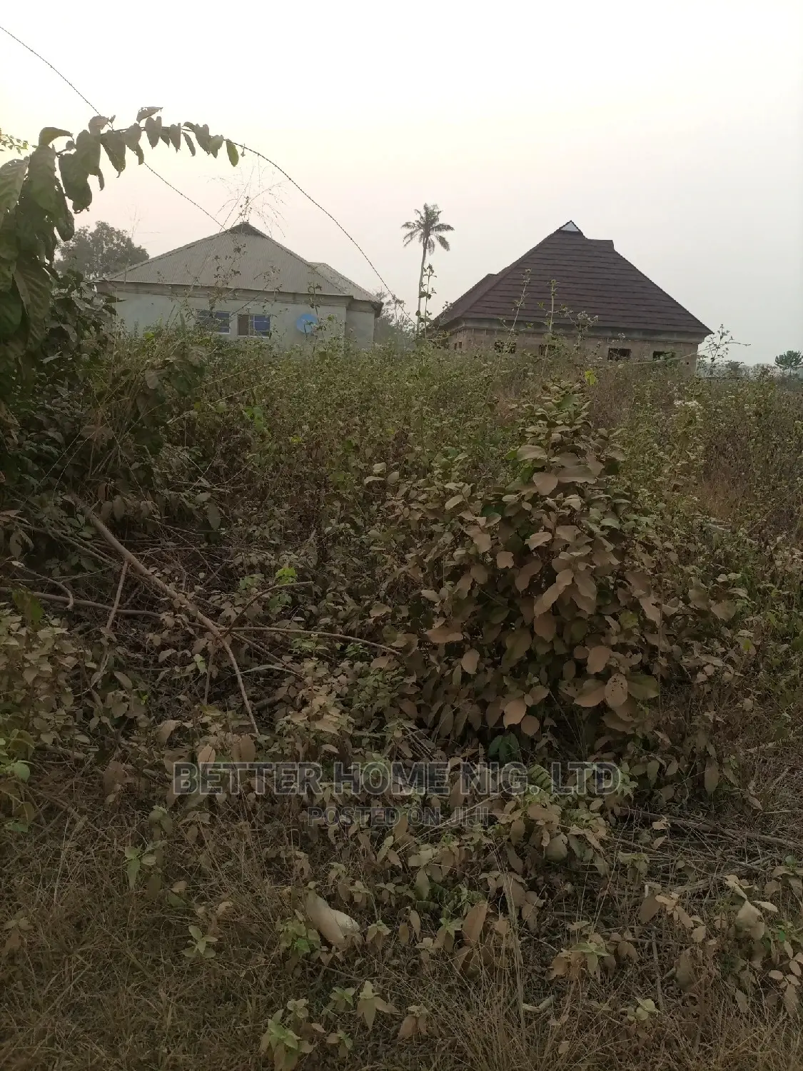 A Plot of Land With Register Survey and Agreement