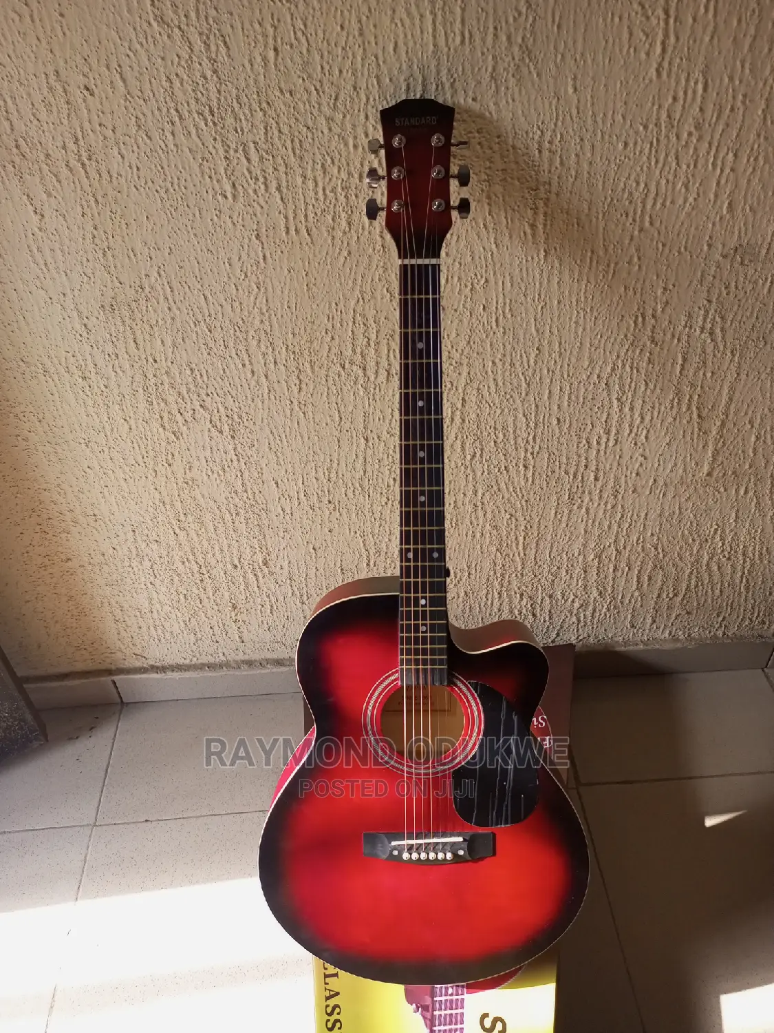 Professional Standard Electric Acoustic Guitar