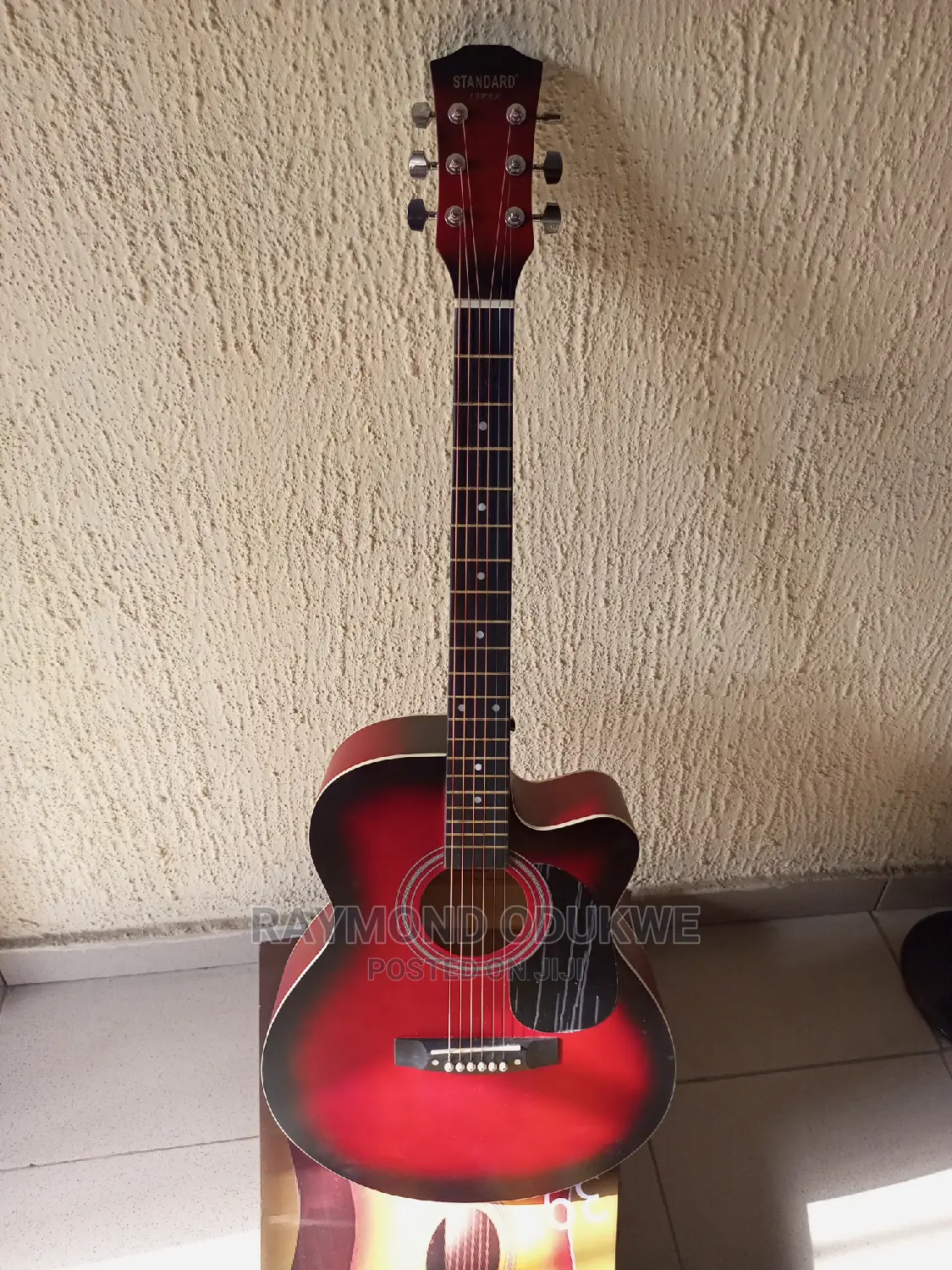 Professional Standard Electric Acoustic Guitar