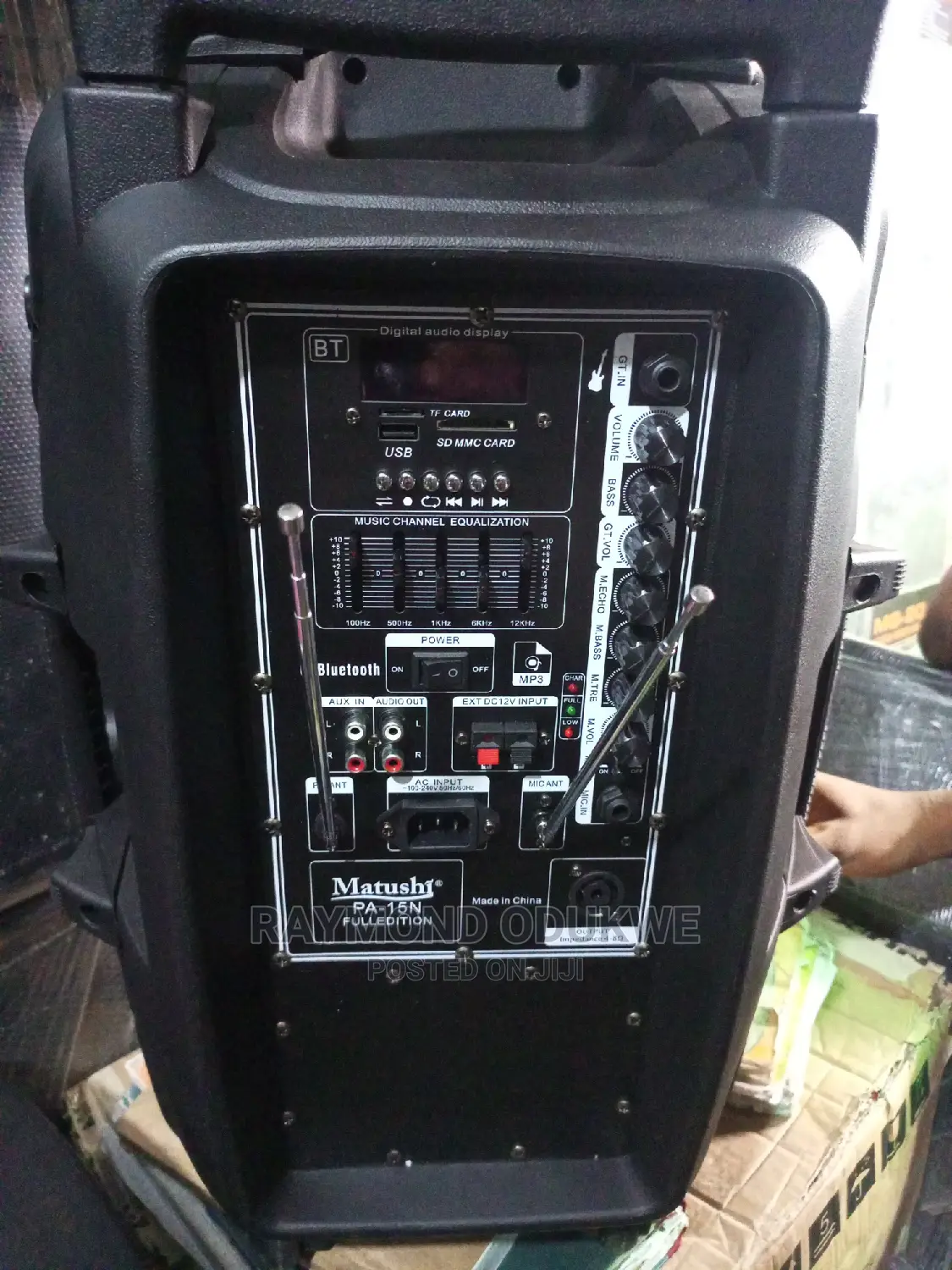 Professional 15 Inches P.A System With 2wireless Microphones