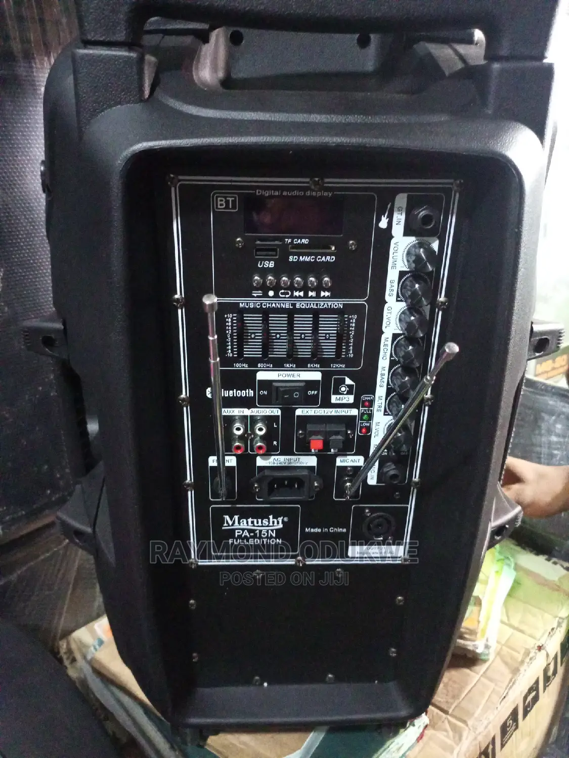 Professional 15 Inches P.A System With 2wireless Microphones