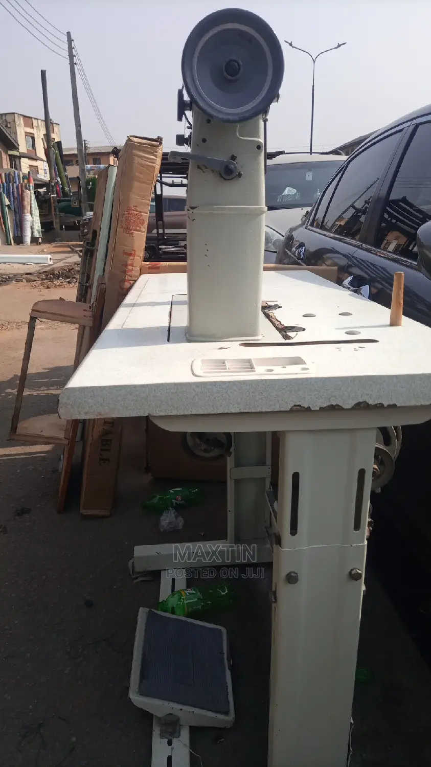 Two Lion Available for Sale