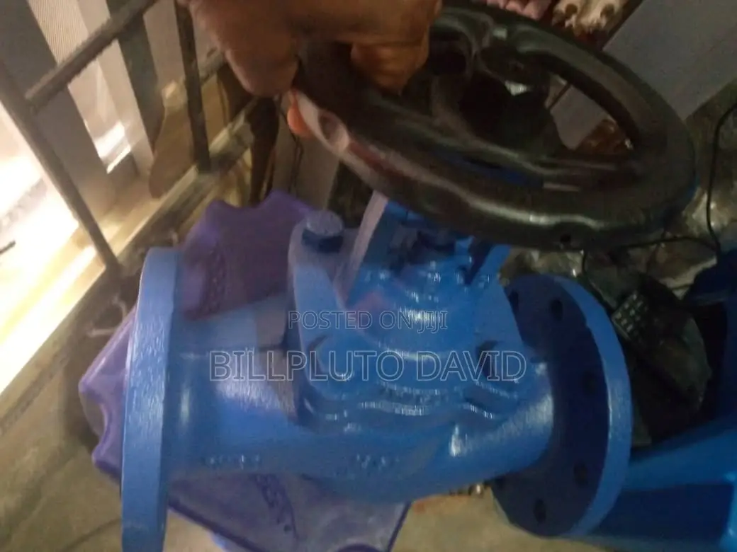 Globe Valves
