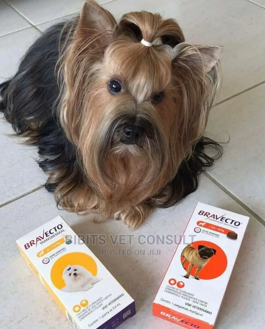 Bravecto Anti-ticks Tablet