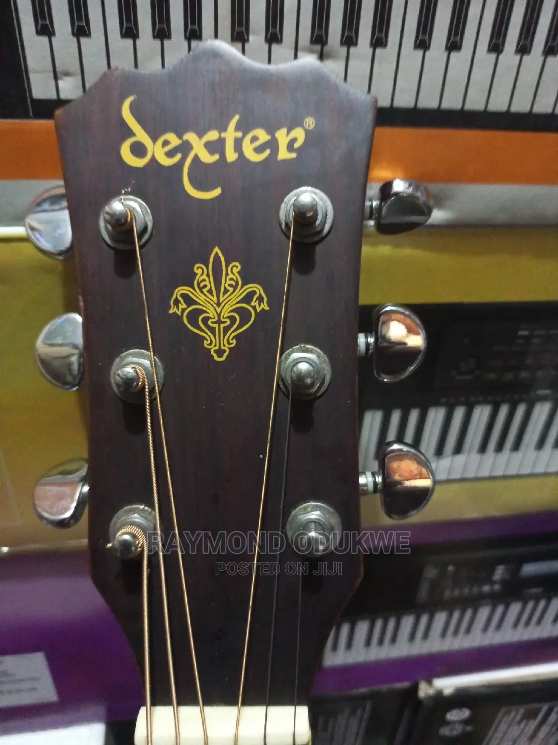 Professional Sexter Electric Acoustic Guitar