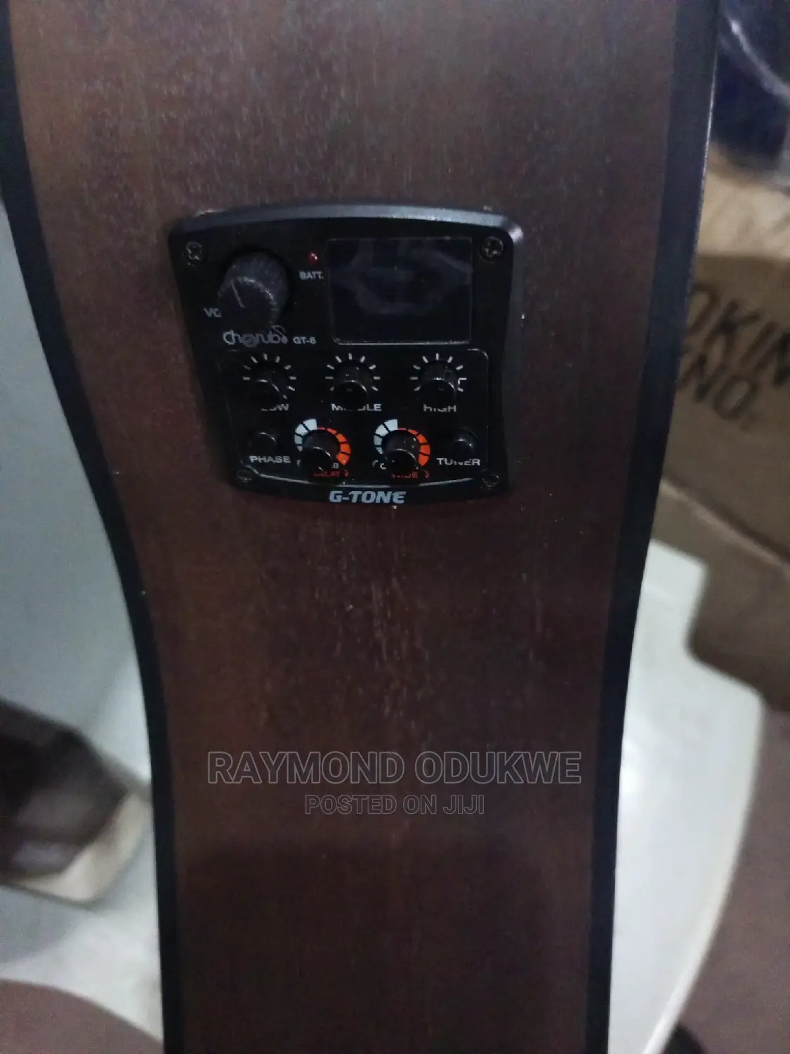 Professional Sexter Electric Acoustic Guitar