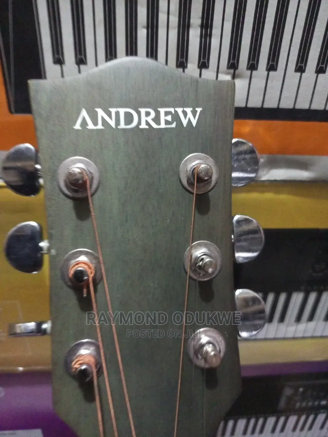Professional Andrew Brand Acoustic Electric Guitar