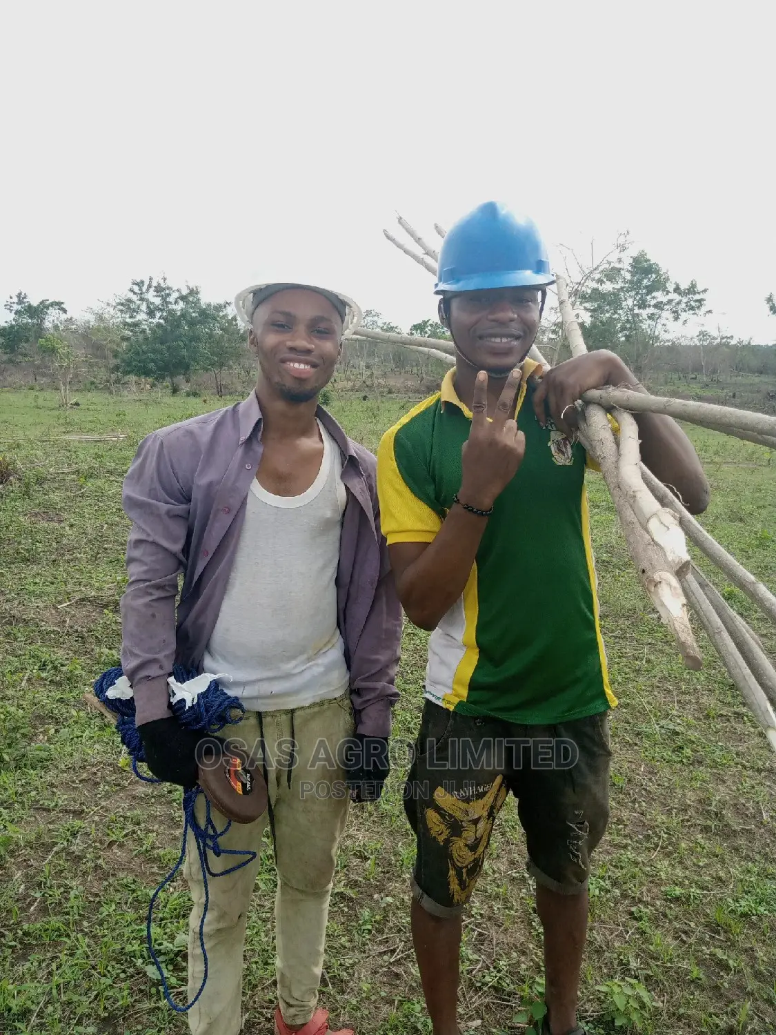 Choice Landscaping/Oil Palm Marking Out Before Planting
