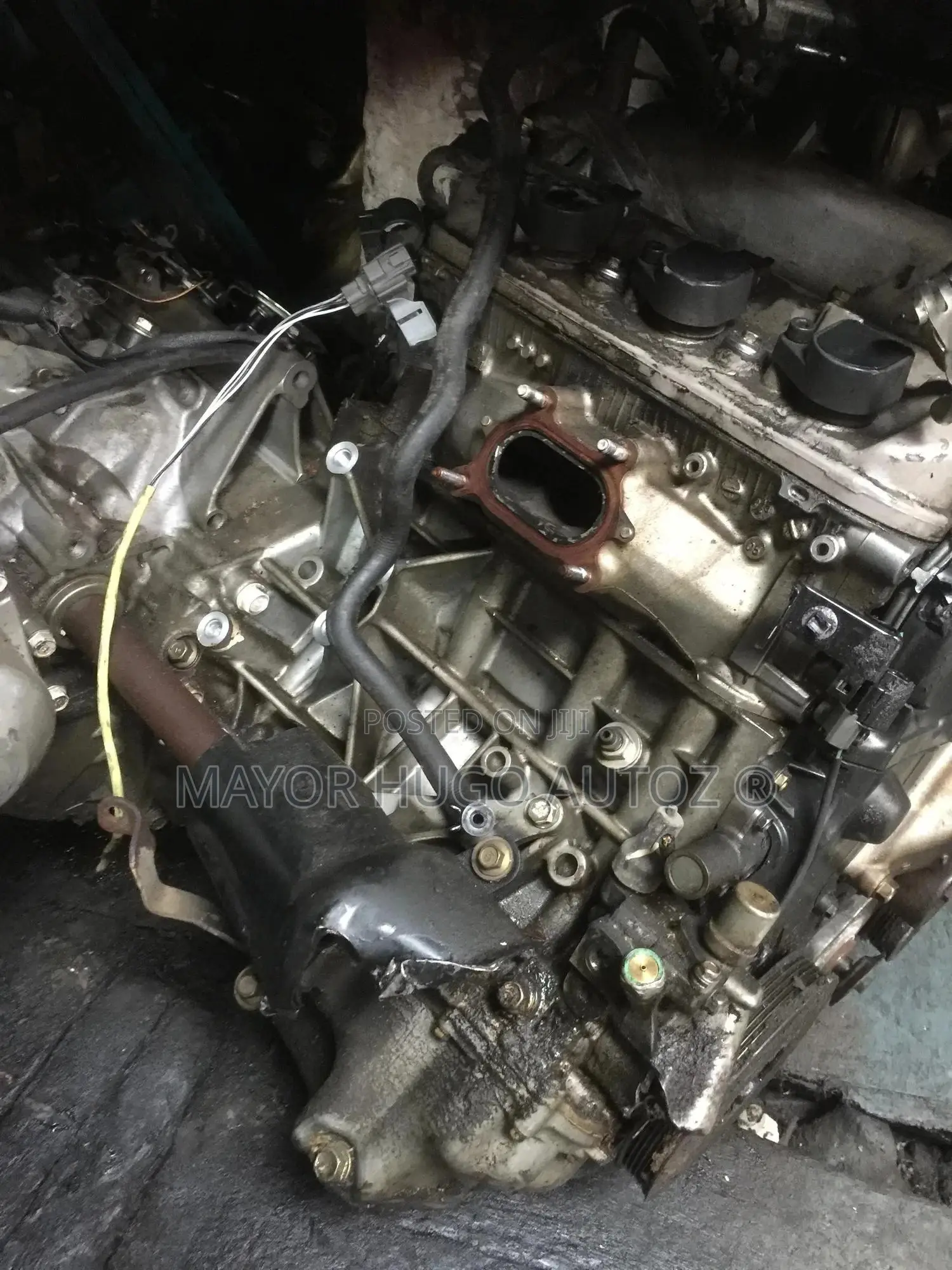 Honda Accord (Baby Engine)