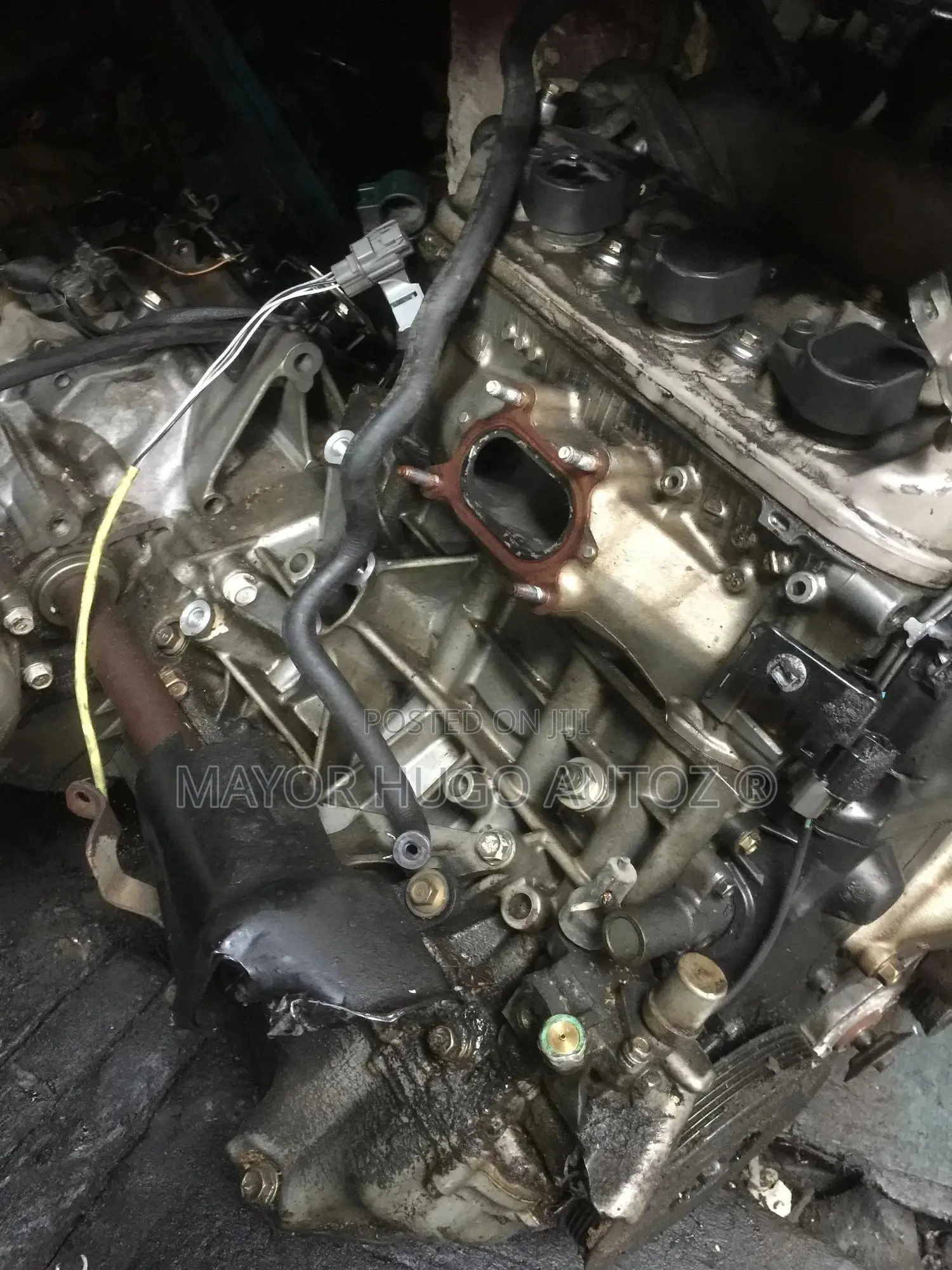 Honda Accord (Baby Engine)