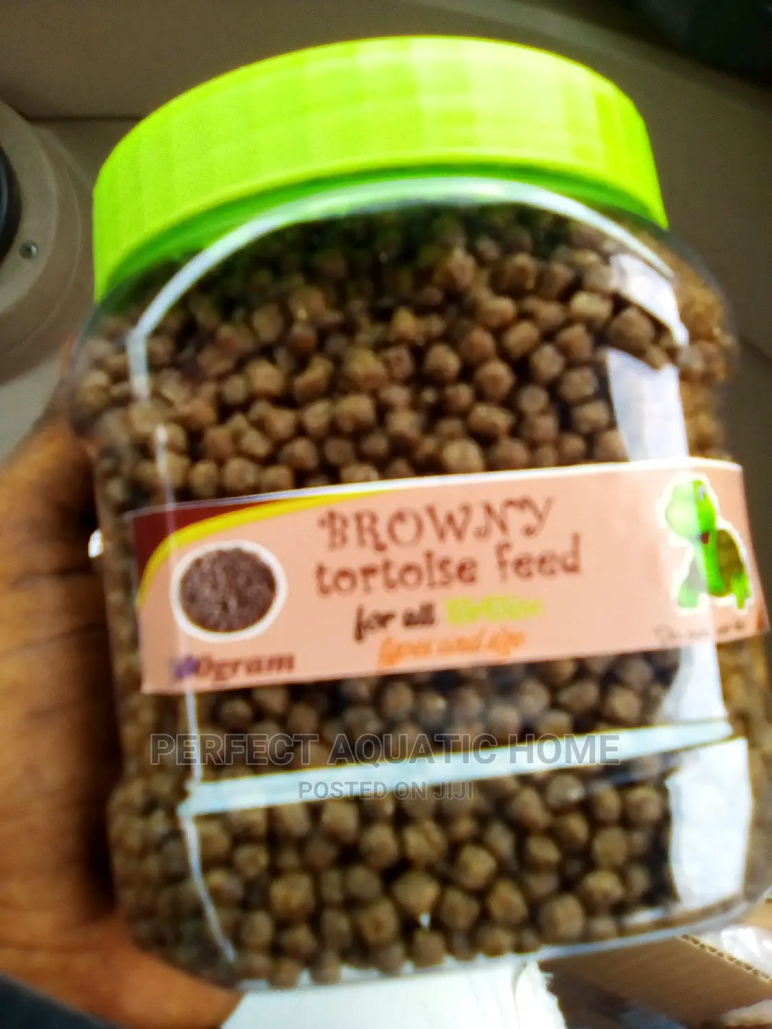 Brown Tortoise Food