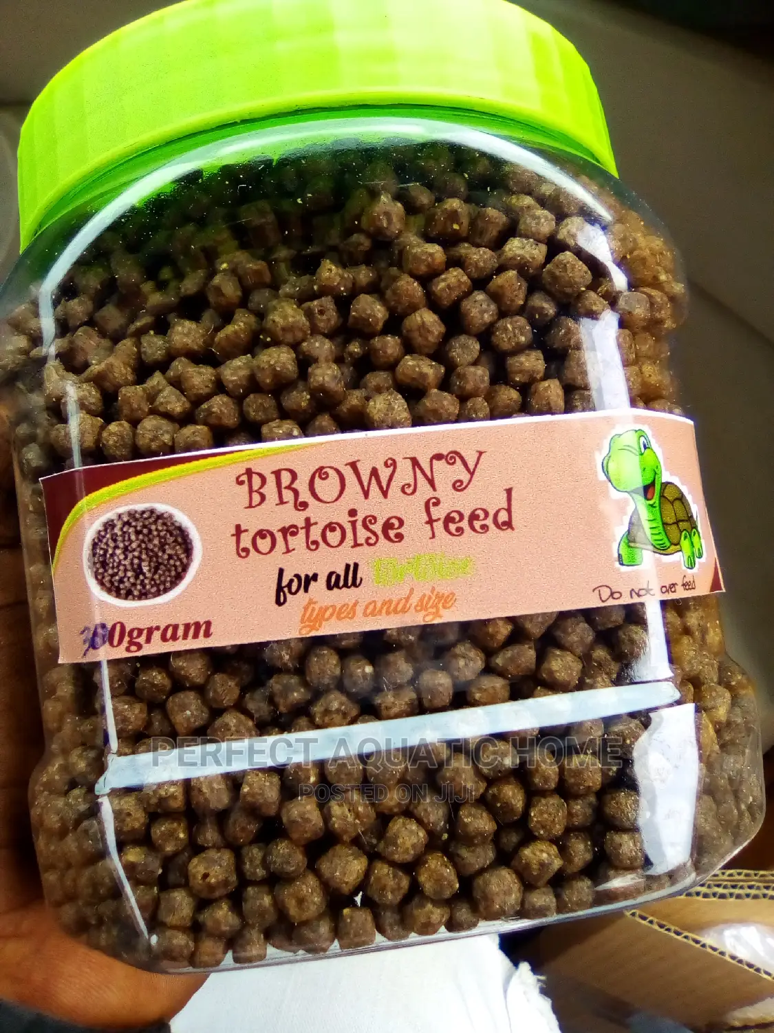 Brown Tortoise Food