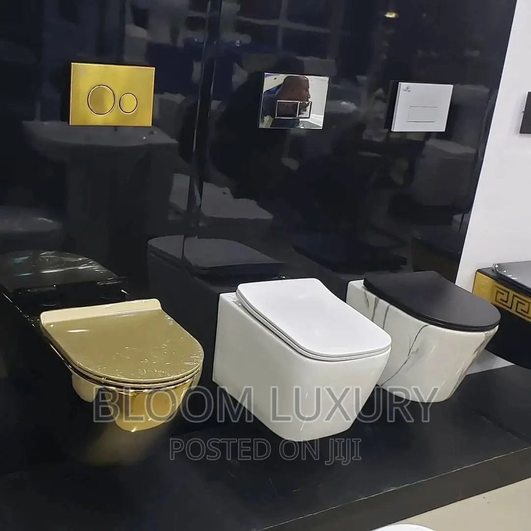 White and Gold Concealed Toilet