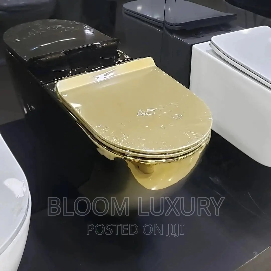 White and Gold Concealed Toilet