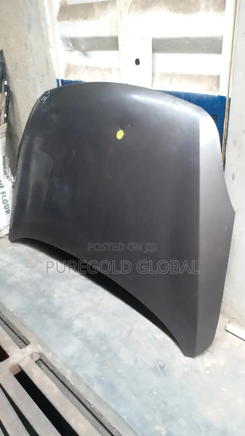 Hyundai Veracruz Hood Available Here.