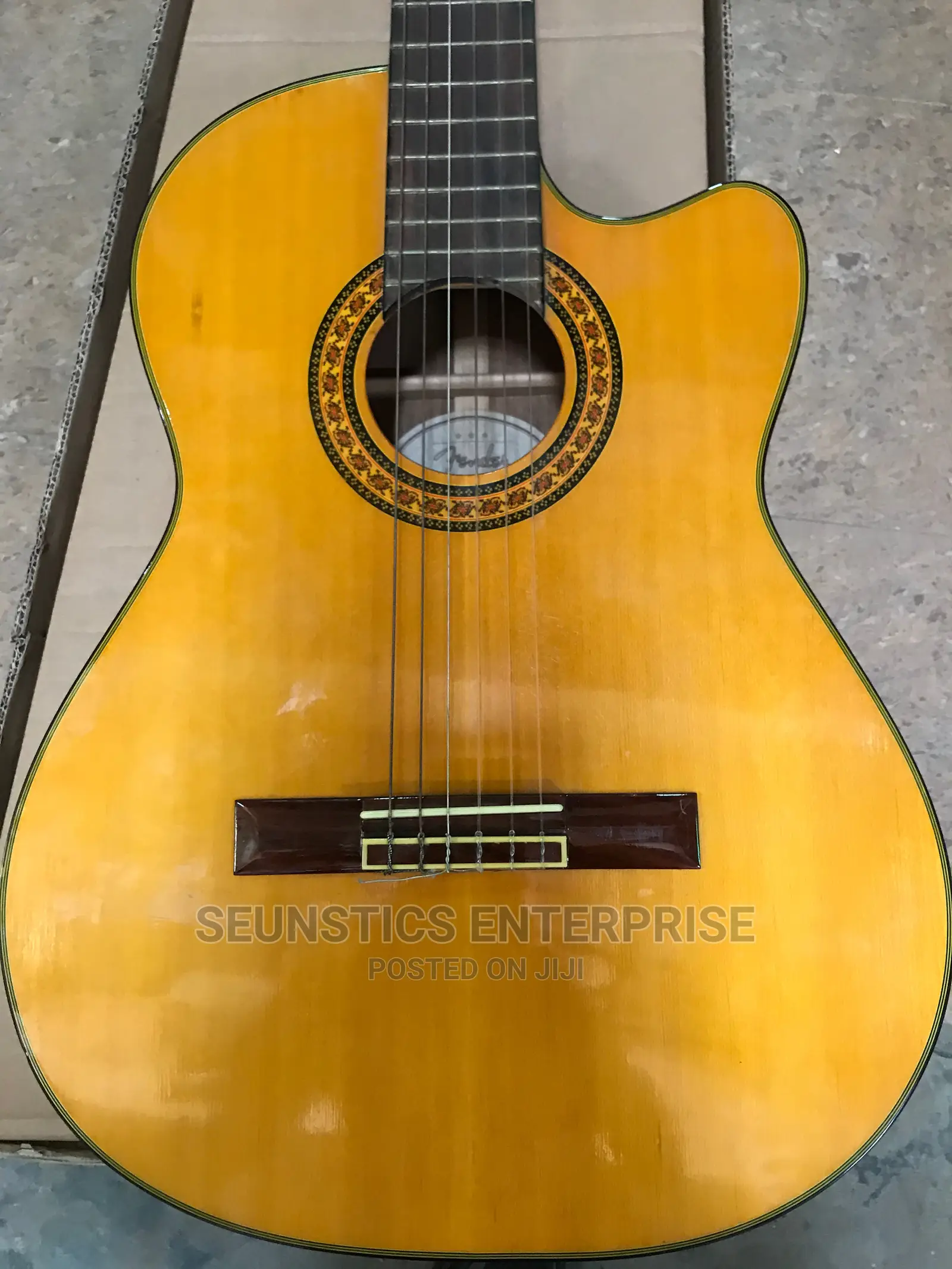 Professional Classical Acoustic Guitar
