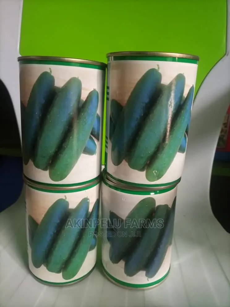 Hybrid Cucumber Seed