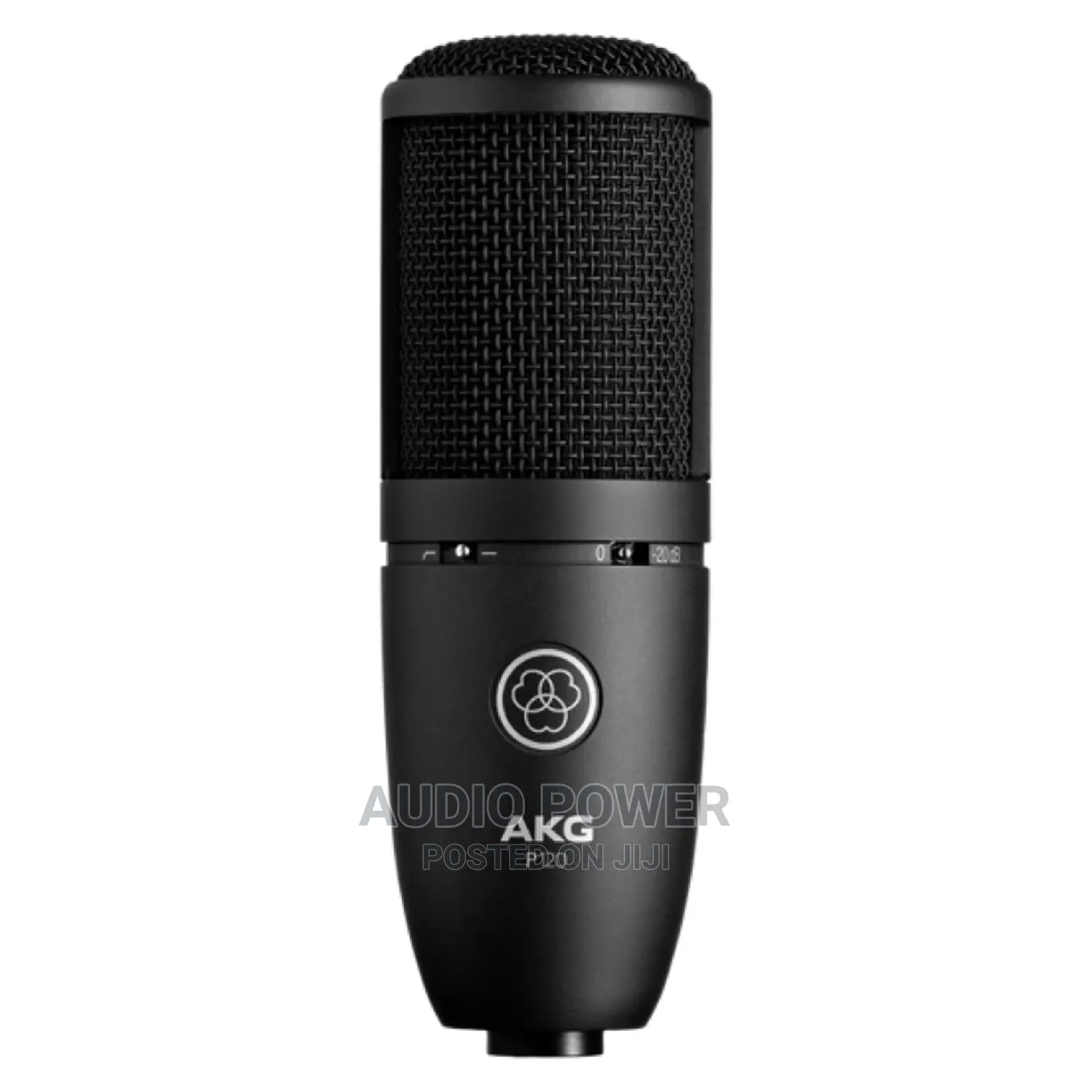 AKG P120 Studio Condenser Microphone