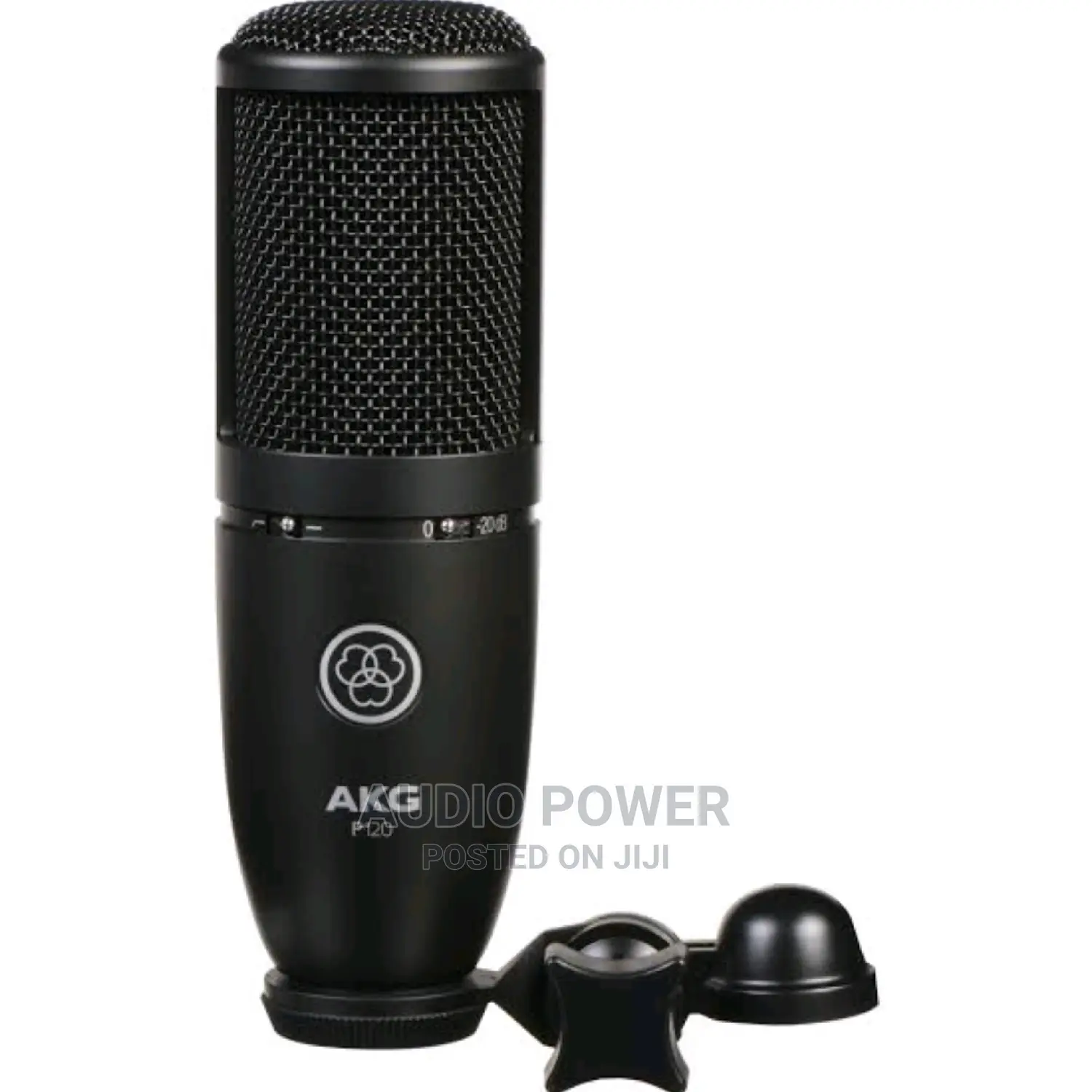 AKG P120 Studio Condenser Microphone