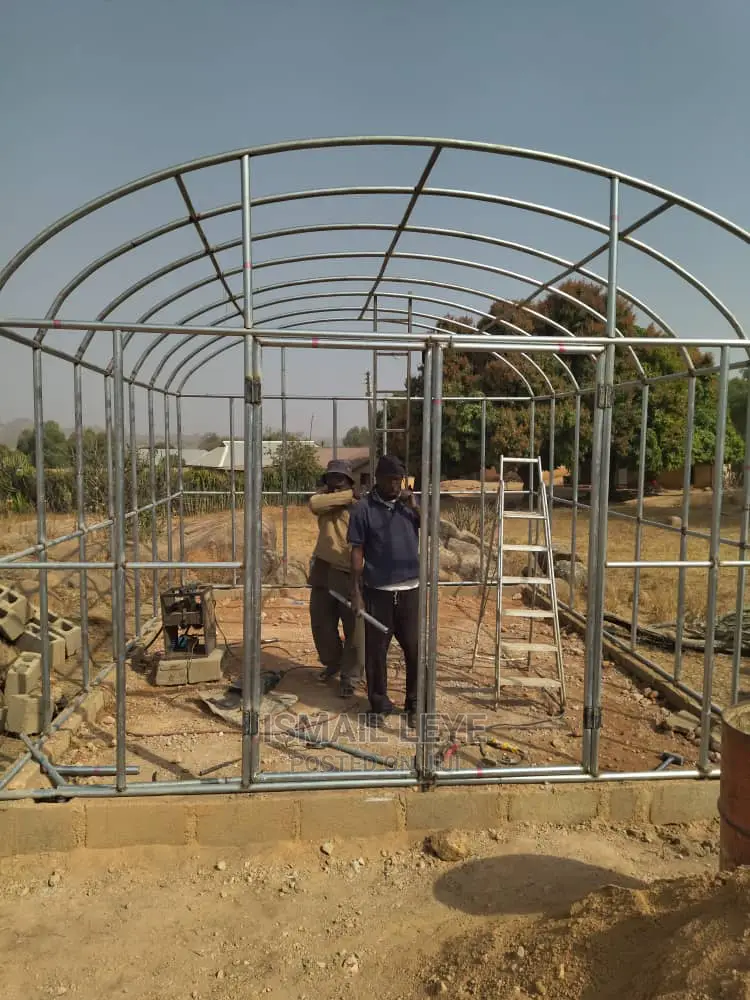 Tomatoes and Beans Green House Dryer
