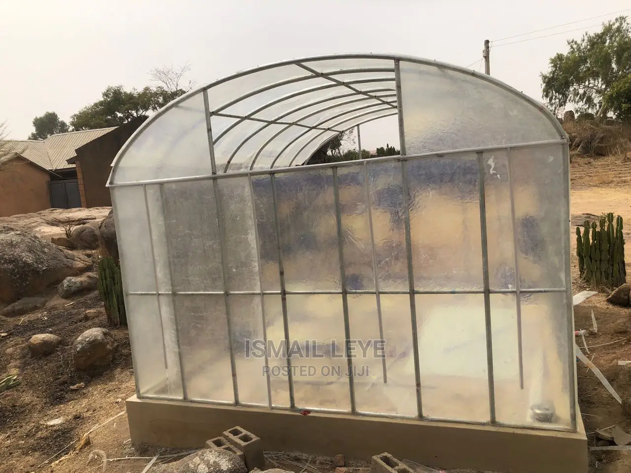 Tomatoes and Beans Green House Dryer