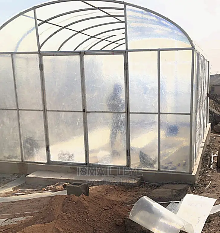 Tomatoes and Beans Green House Dryer
