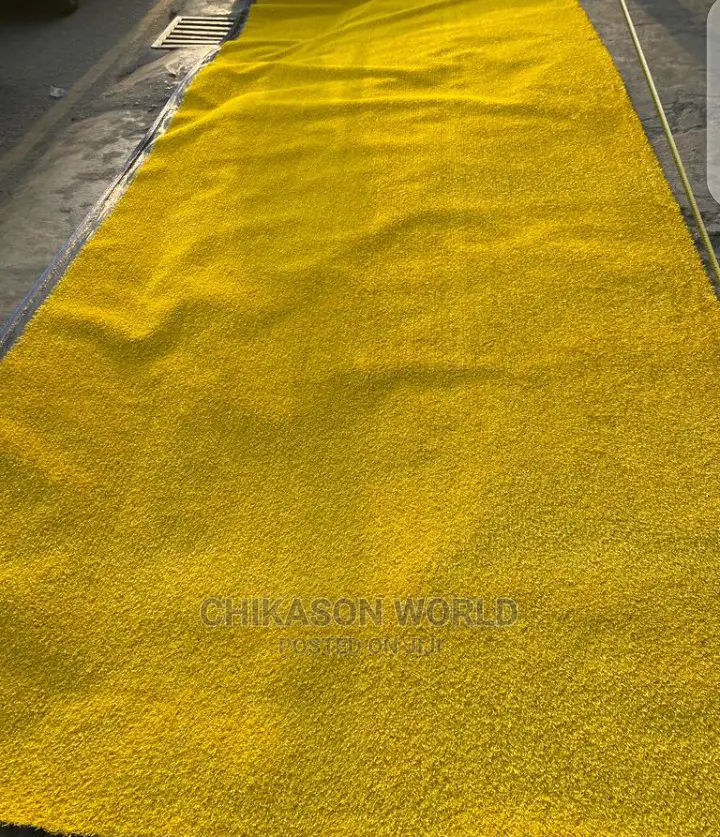 Best Synthetic Grass Carpets