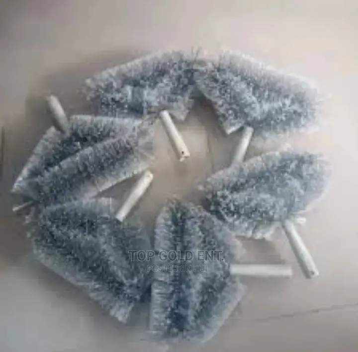 Telescopic Brush/Web Cleaner