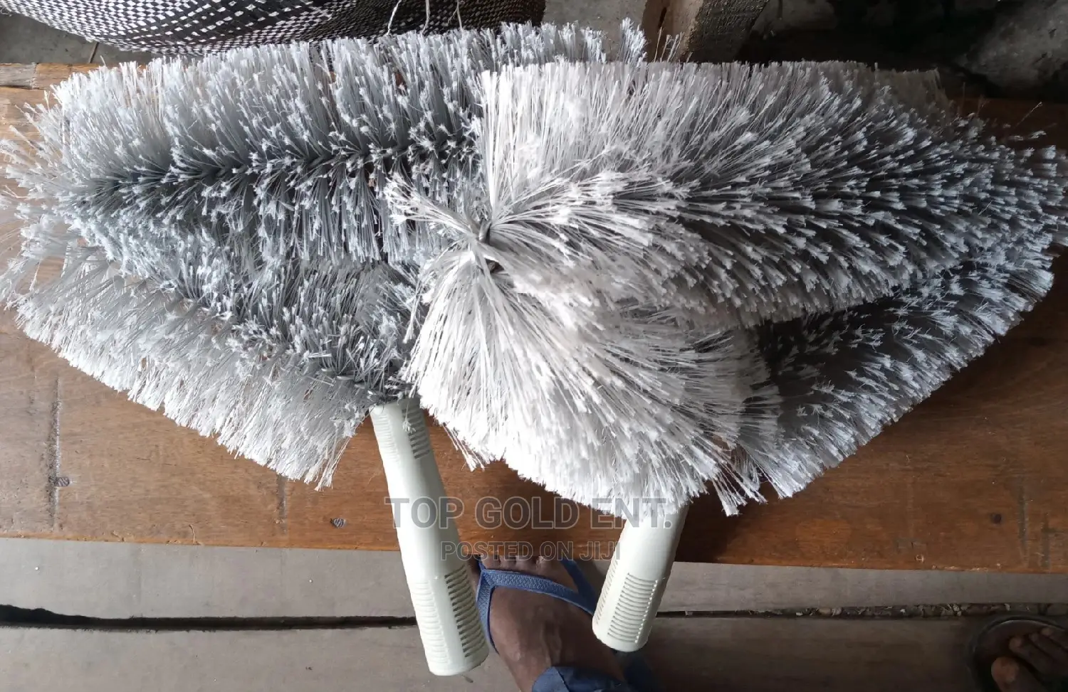 Telescopic Brush/Web Cleaner