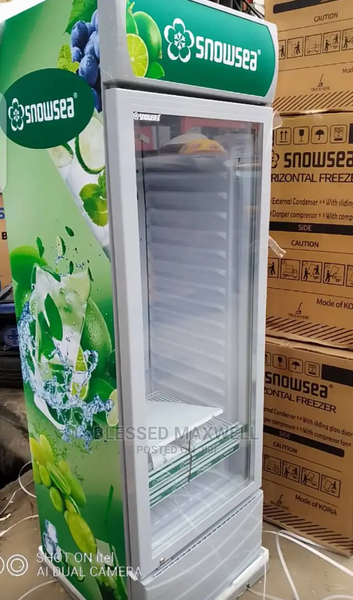 Snowsea Upright Cooler