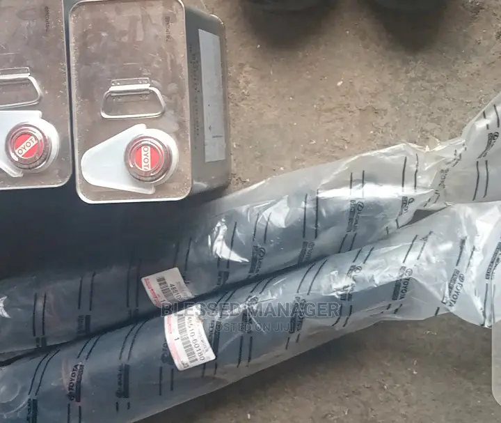 Back Shock for Lx570