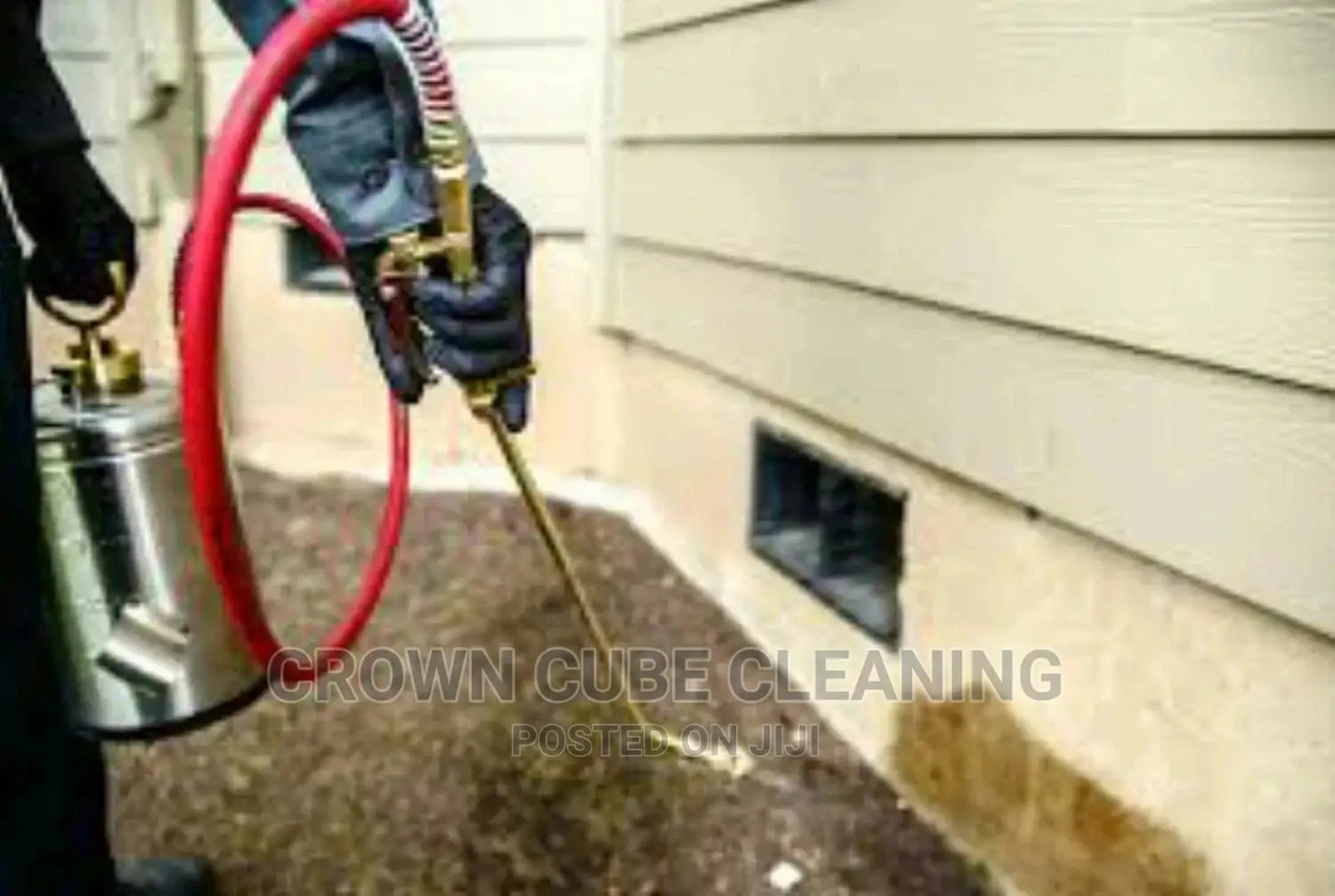 Best Bedbugs Fumigation Services