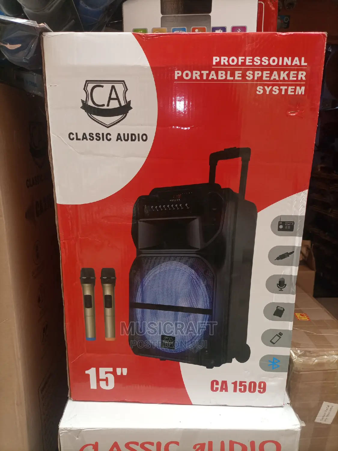 Classic Audio 15" PA System