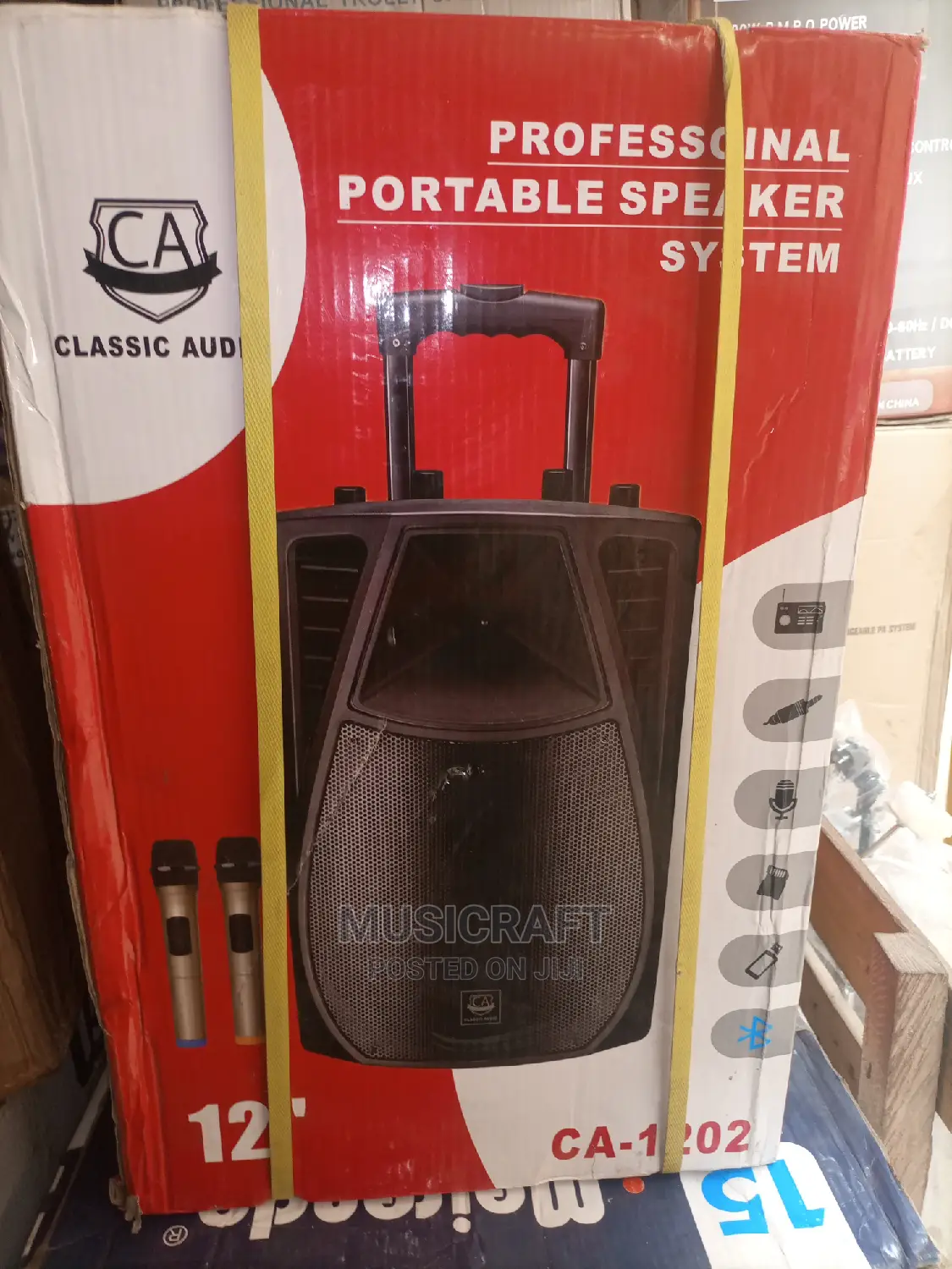 Classic Audio 12" PA System