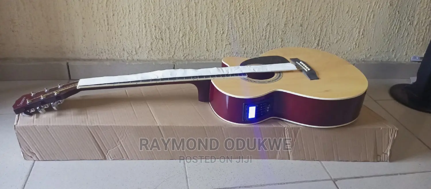 Professional Electric Acoustic Guitar