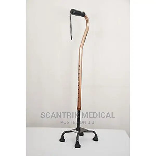 Stainless Steel and Plastic 4 Leg Walking Stick