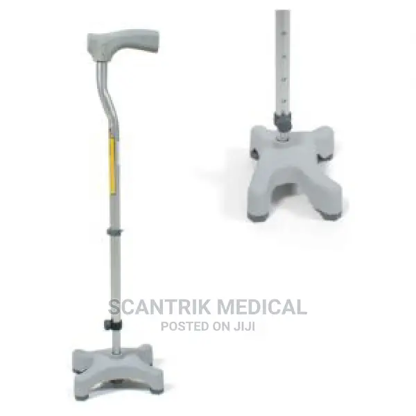 Stainless Steel and 4 Leg Walking Stick
