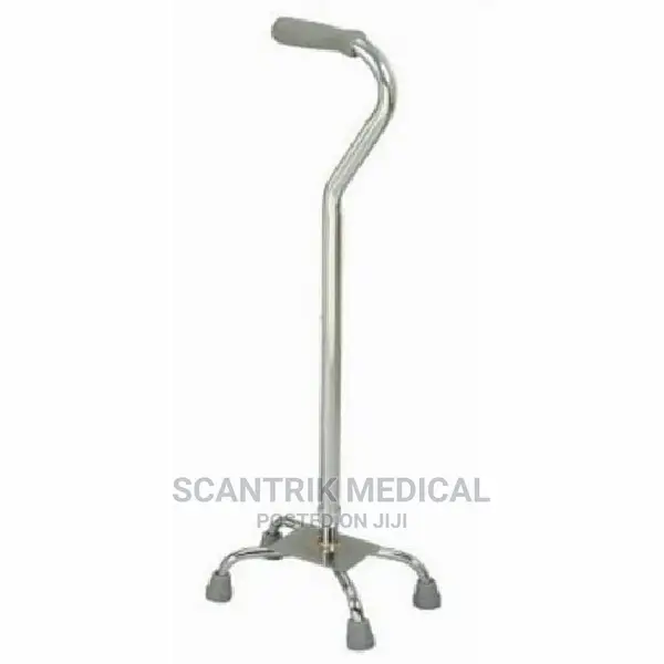 Walking Stick With Handle