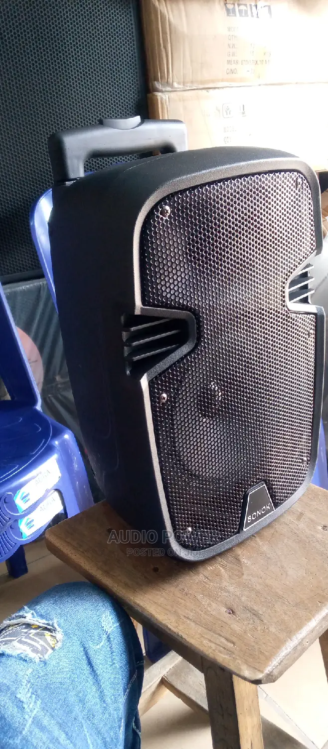 P. A System With Dual Microphone and Bluetooth Connectivity