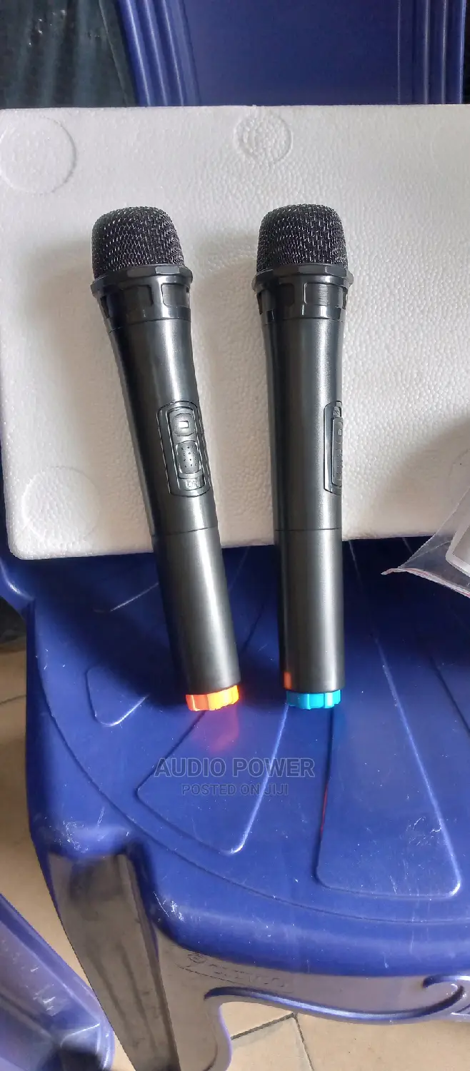 P. A System With Dual Microphone and Bluetooth Connectivity