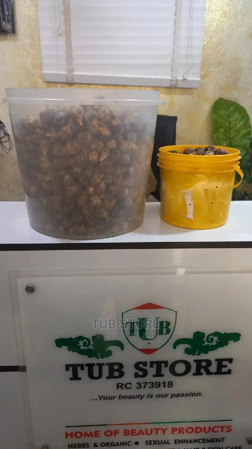 Wholesale Mudu of Gorotula Fruit