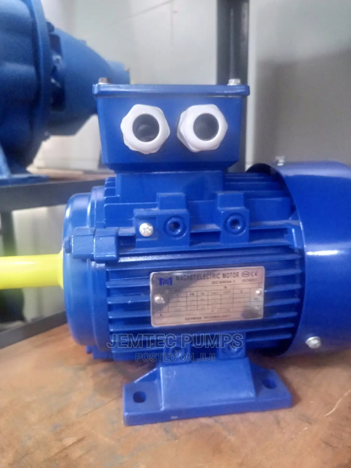 Magnet Electric Motor