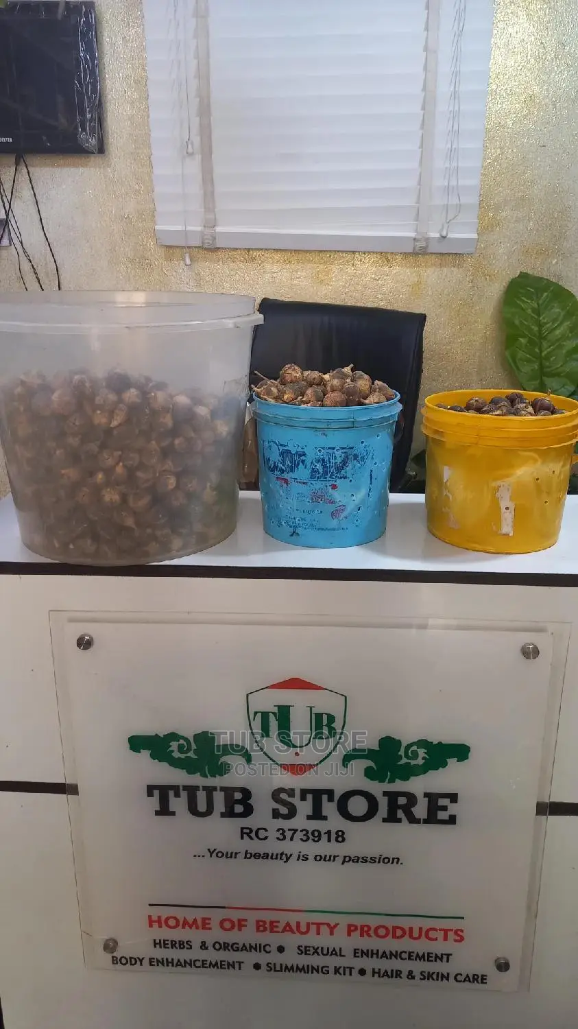 Wholesale Mudu of Gorotula Fruit