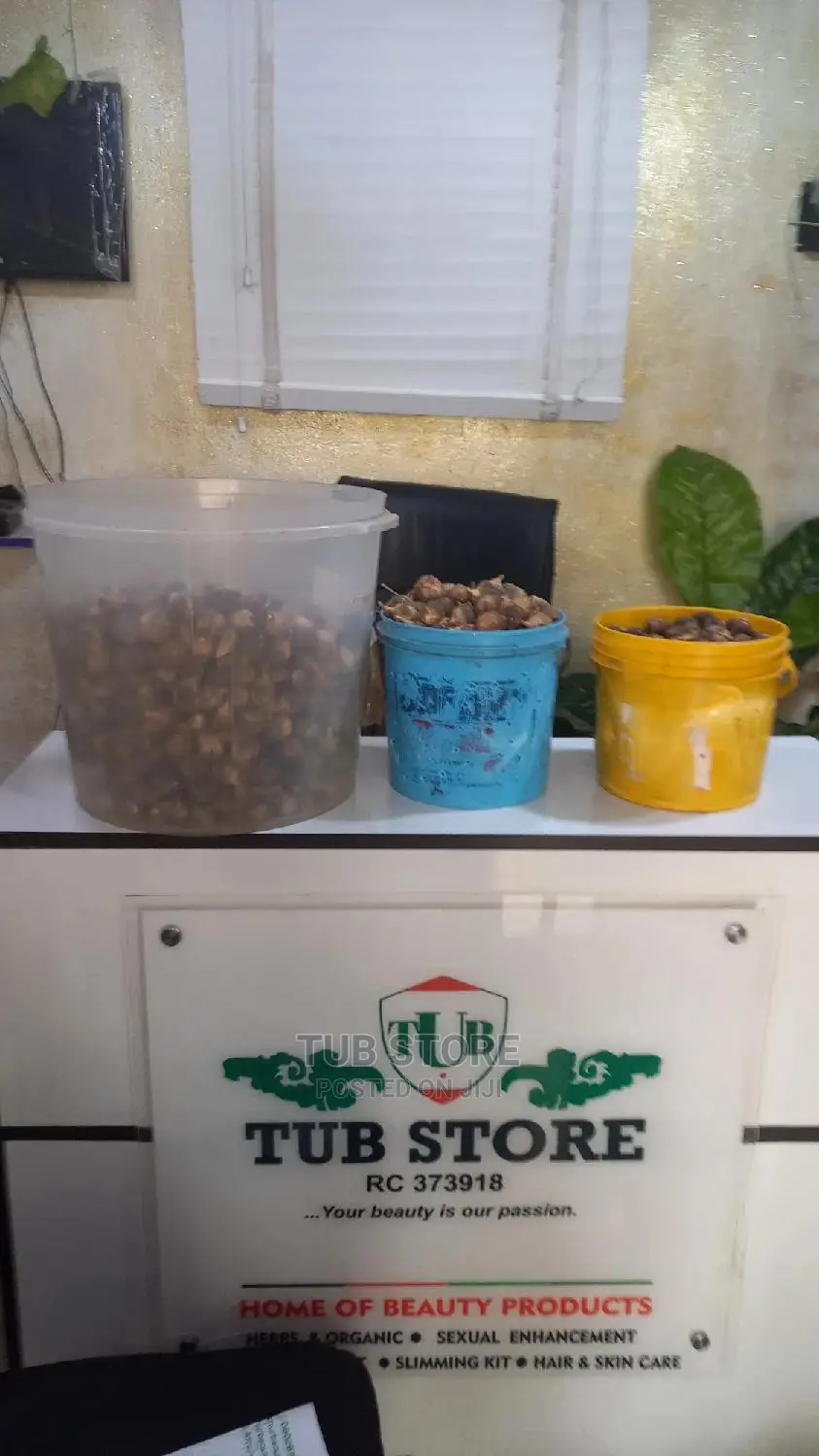 Wholesale Mudu of Gorotula Fruit