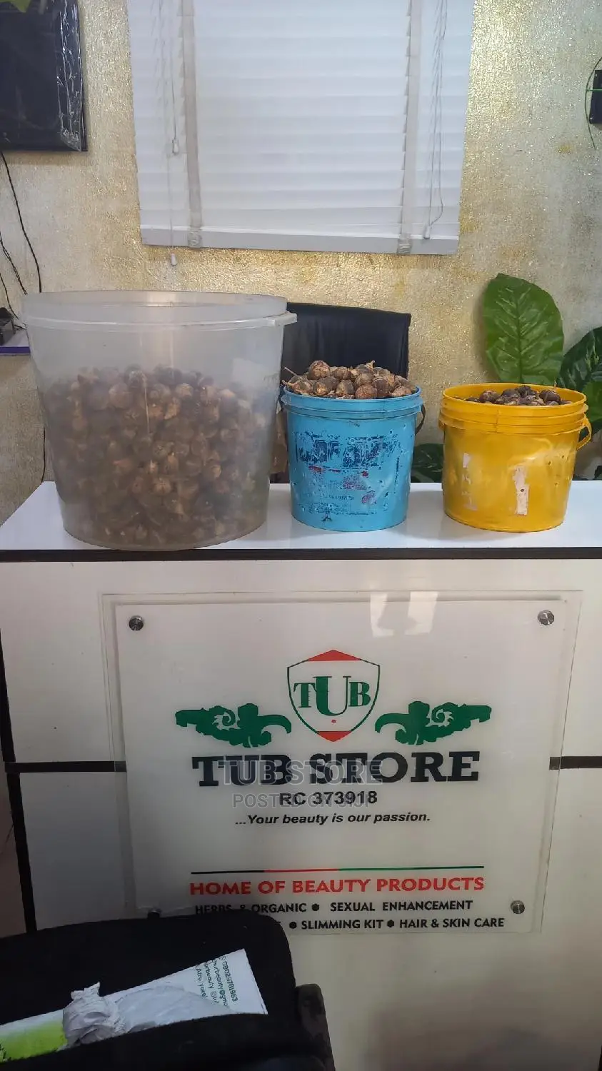 Wholesale Mudu of Gorotula Fruit