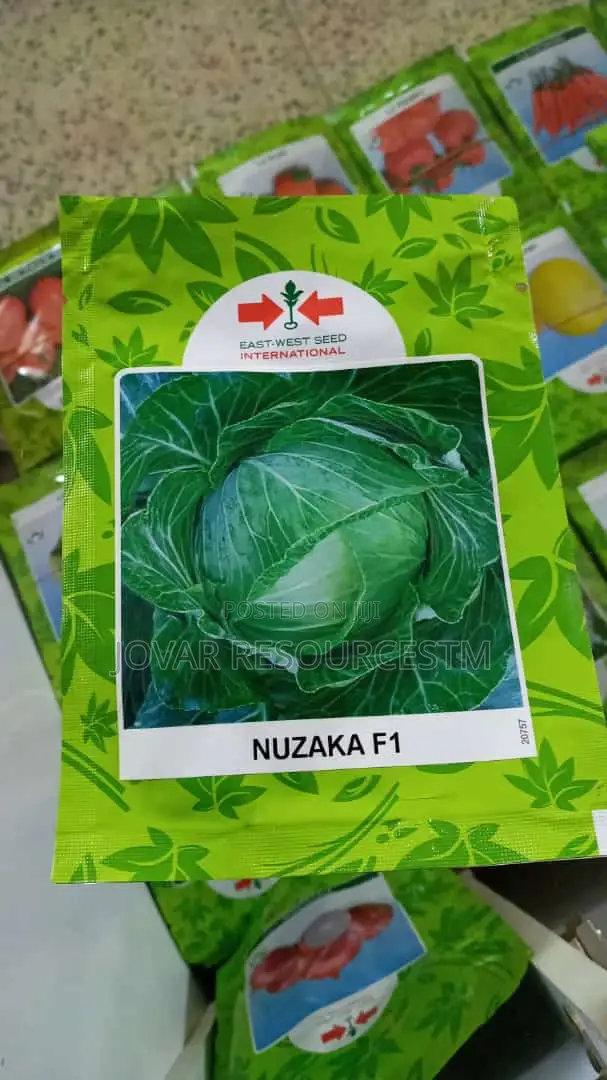Best Cabbage Seeds of Higher Yield