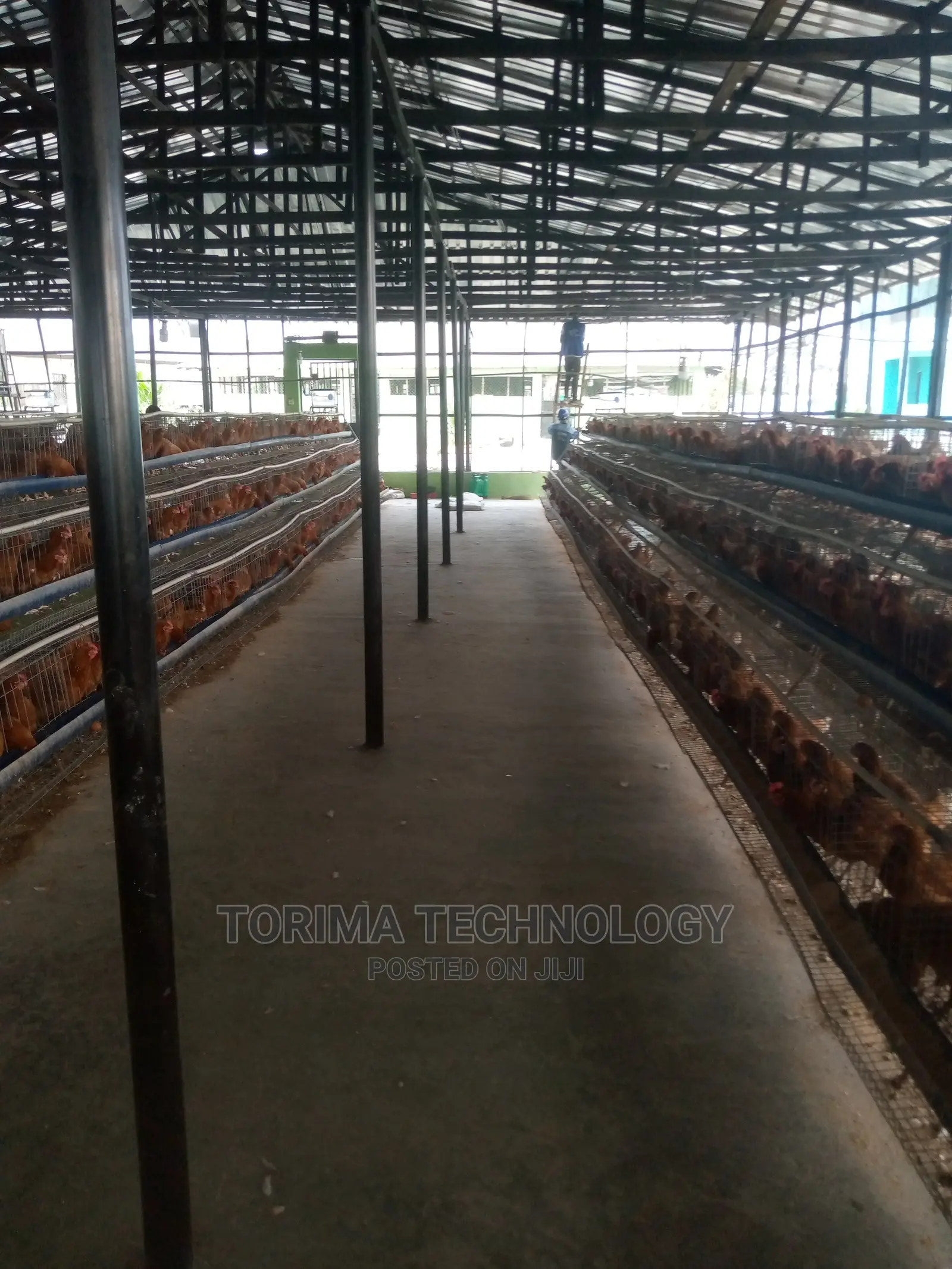 Farm Security Camera System