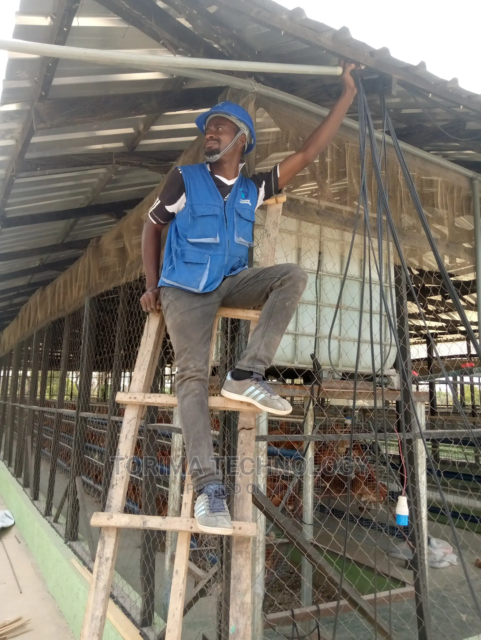 Farm Video Surveillance System
